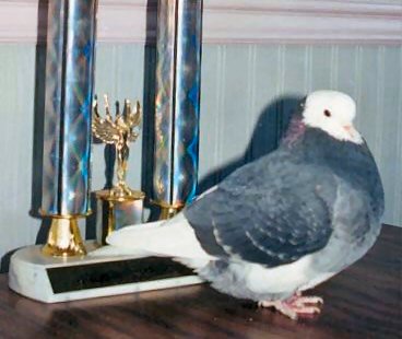 1998 Wisconsin State Champion