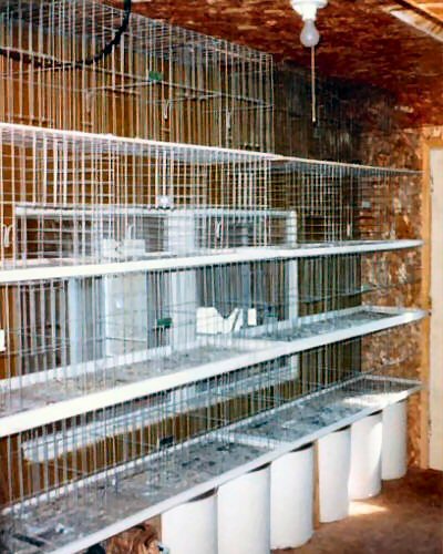 judging area of loft