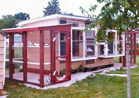 Beginnings of Lakeview