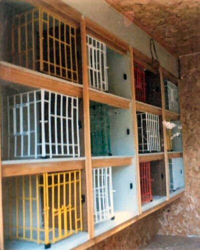 This is a close up of the nest compartments